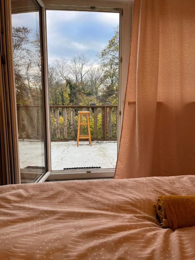 Breathtaking Shared Villa Near Danube River /W Garden And Parking Вена Экстерьер фото