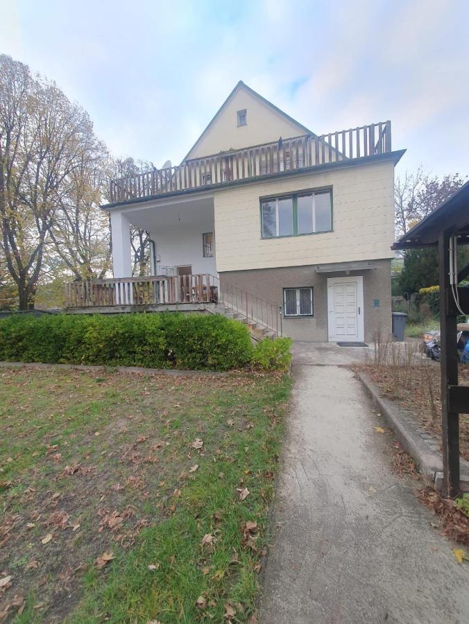 Breathtaking Shared Villa Near Danube River /W Garden And Parking Вена Экстерьер фото