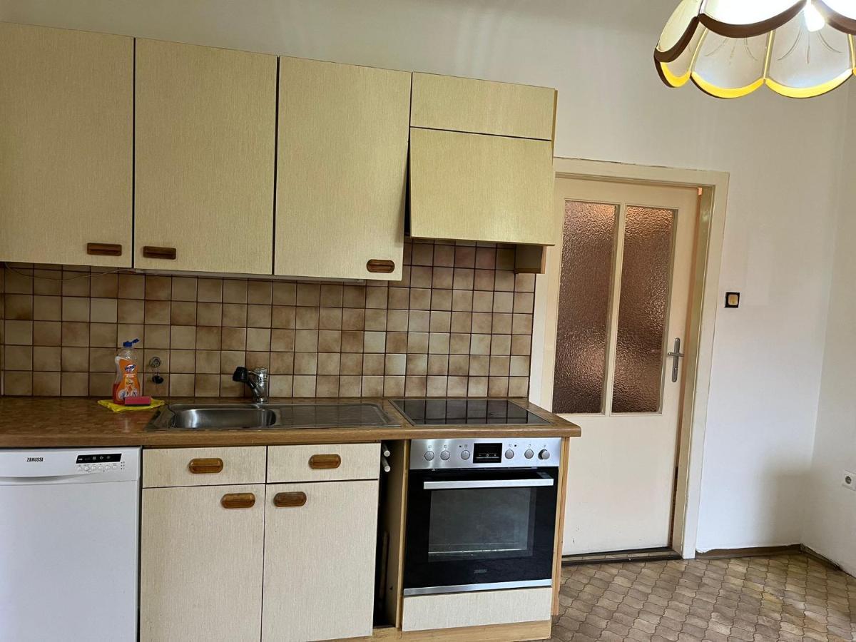 Breathtaking Shared Villa Near Danube River /W Garden And Parking Вена Экстерьер фото
