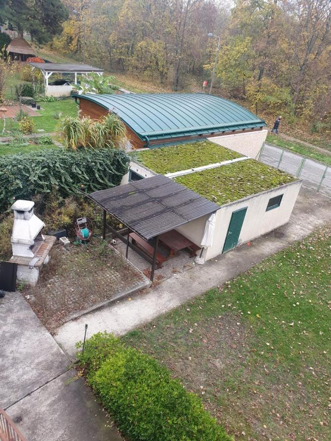 Breathtaking Shared Villa Near Danube River /W Garden And Parking Вена Экстерьер фото