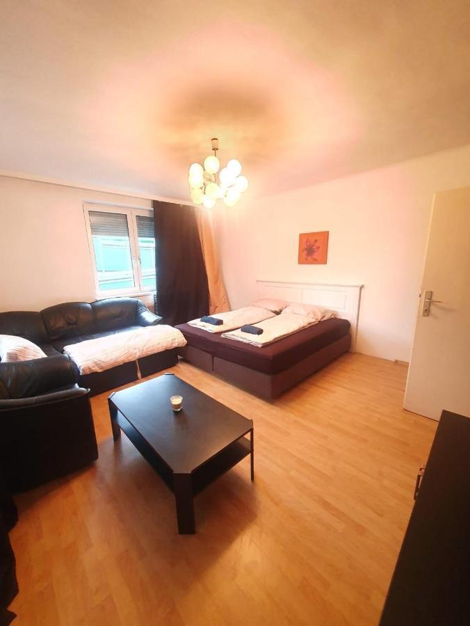 Breathtaking Shared Villa Near Danube River /W Garden And Parking Вена Экстерьер фото